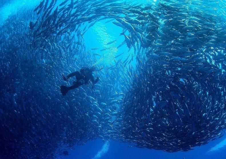 秋季浪漫约会
